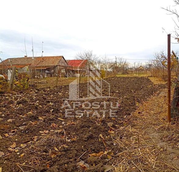 Casă cu 4 camere cu Teren 996 Mp în Dudeștii Noi