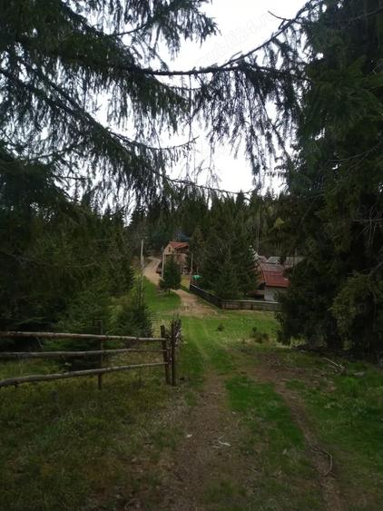 Teren de 653 mp, în Muntele Băișorii