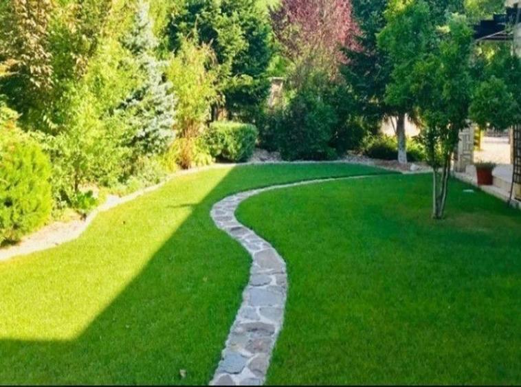 Casă individuală cu 8 camere cu Canalizare în Băneasa