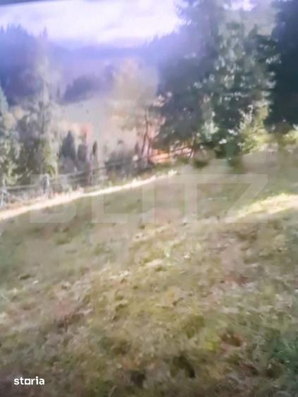 Teren de 15000 mp, în Panaci
