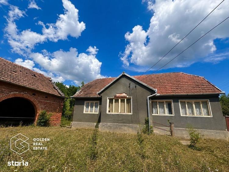 Casa traditionala cu teren 3.086 mp, Capruta, Arad - 2