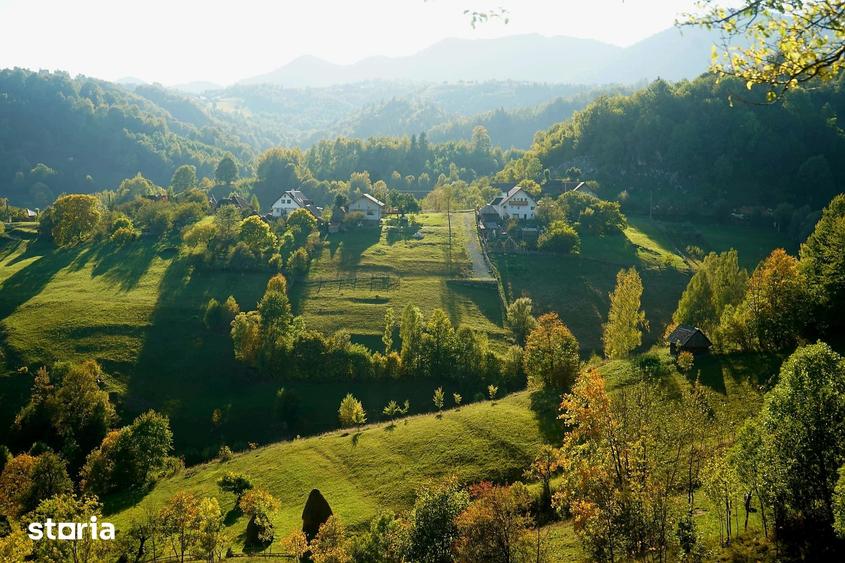 Teren de 2969 mp, în Moieciu