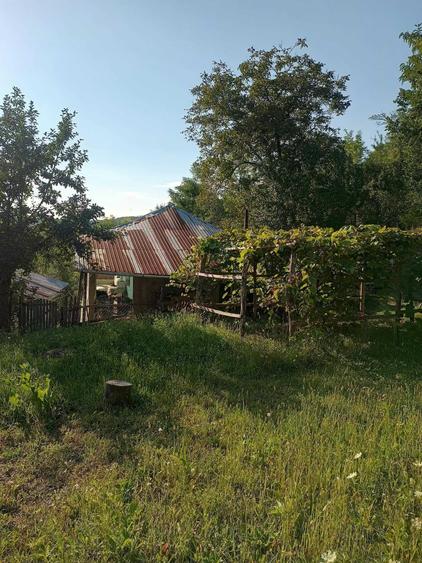 Casă cu 4 camere în Chiojdeanca
