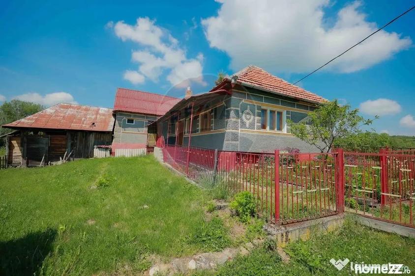 Casă cu 5 camere cu Teren 55706 Mp în Valea Târnei