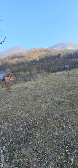 Teren de 4300 mp, în Cornereva