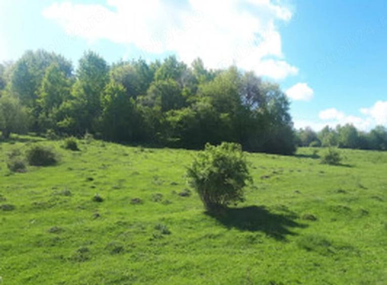 Teren de 2946 mp, în Valea Rumâneștilor