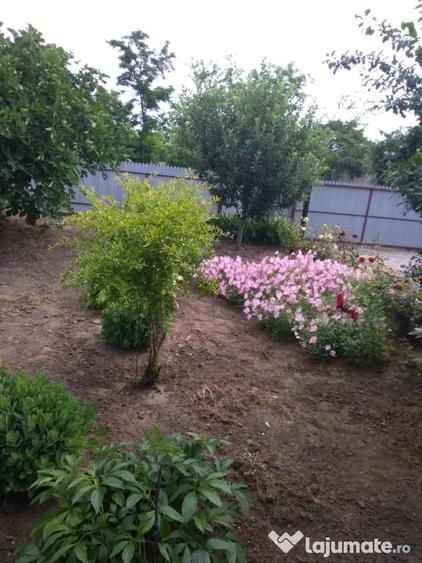 Casă cu 7 camere în Văcăreni