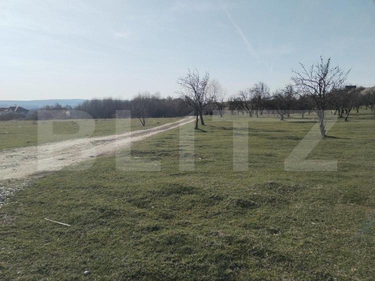 Teren Construcții intravilan de 90000 mp, în Aninoasa