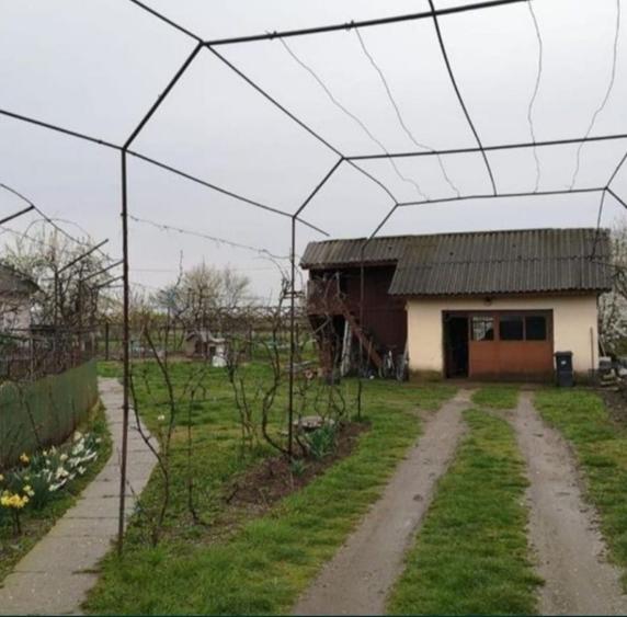 Casă cu 4 camere cu Teren 2900 Mp în Bălteni