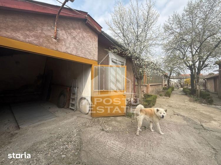 Casa cu 4 camere de vanzare in zona Iosefin - Gara Timisoara - 7