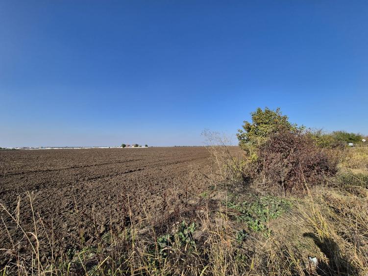 Teren Construcții intravilan de 9988 mp, în Tunari