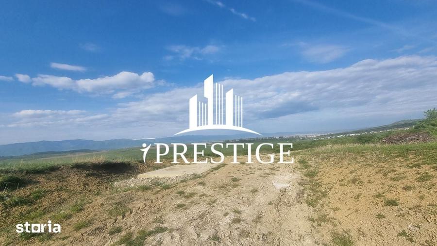 Teren de 2000 mp, în Trei Stejari