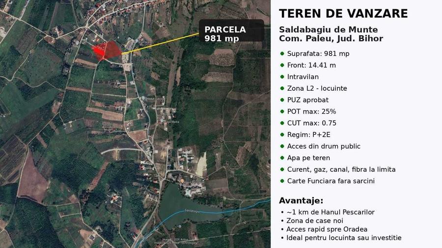 Teren intravilan Saldabagiu de Munte Bihor - 7