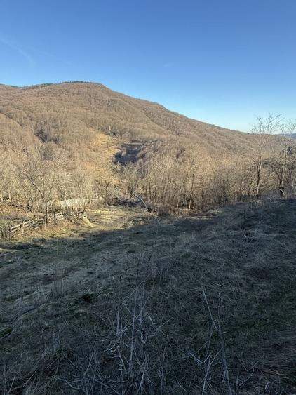 Teren de 1780 mp, în Valea Doftanei