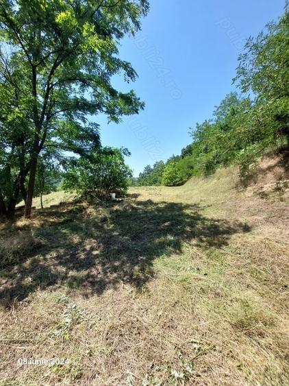 Teren de 1500 mp, în Marginea