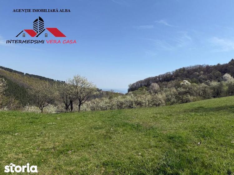 Teren de 13698 mp, în Vințu de Jos