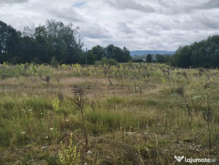 Teren intravilan 4594mp, deschidere 66ml, Galanesti, Radauti - 1