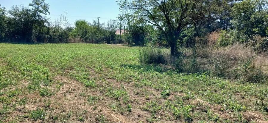 Teren de 2632 mp, în Misleanu