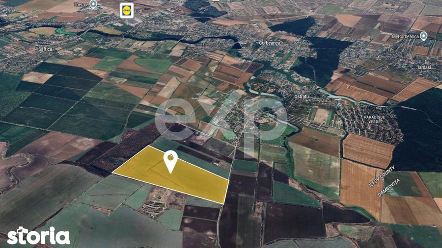 Teren de 450000 mp, în Corbeanca