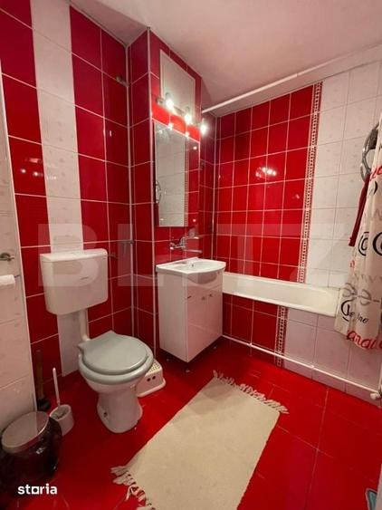 Apartament cu 3 camere decomandat în Lăpuș Argeș