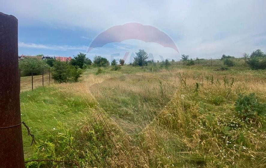 Teren agricol intravilan de 3778 mp, în Brănești