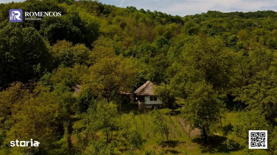 Teren de 1000 mp, în Stâlpeni
