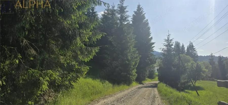 Teren de 1000 mp, în Colibița