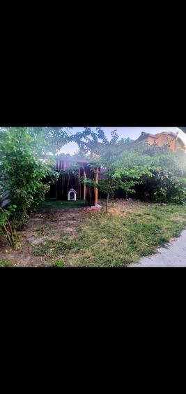 Casa de vanzare Simian - 7