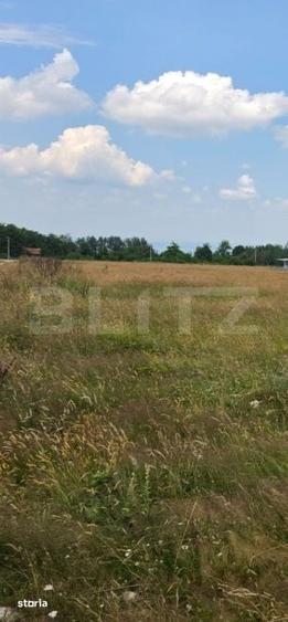 Teren de 1000 mp, în Sâmbăta de Sus
