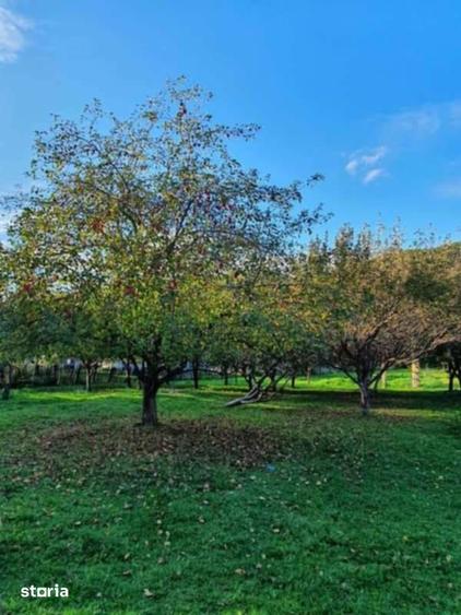 Teren de 20000 mp, în Valea