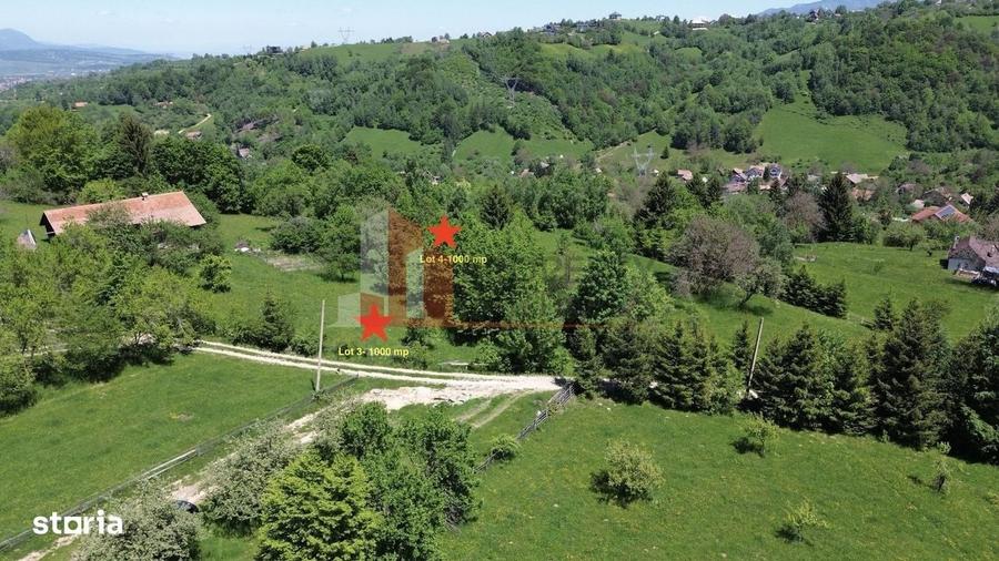 Spațiu comercial, în Bran