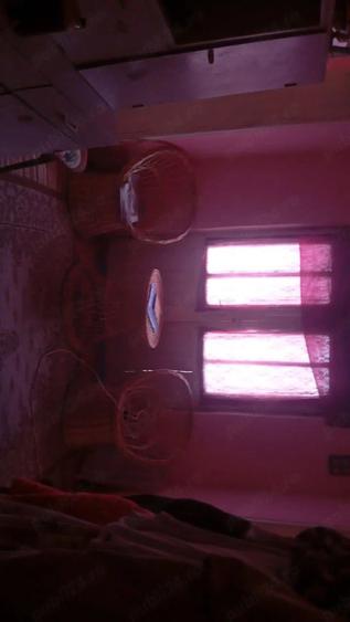Vind casa. - 2