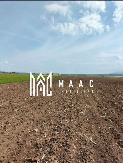 Teren agricol extravilan de 10000 mp, în Bradu
