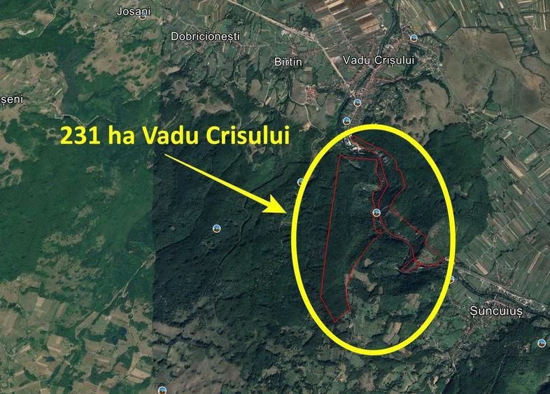 Spațiu comercial, în Vadu Crișului