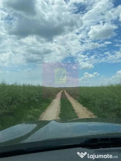 Teren în Albota