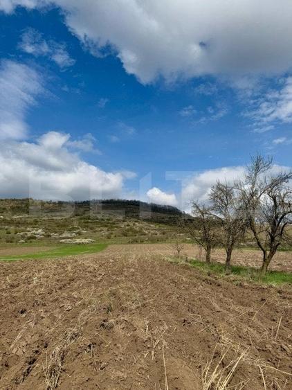 Teren Construcții intravilan de 1500 mp, în Nord-Est