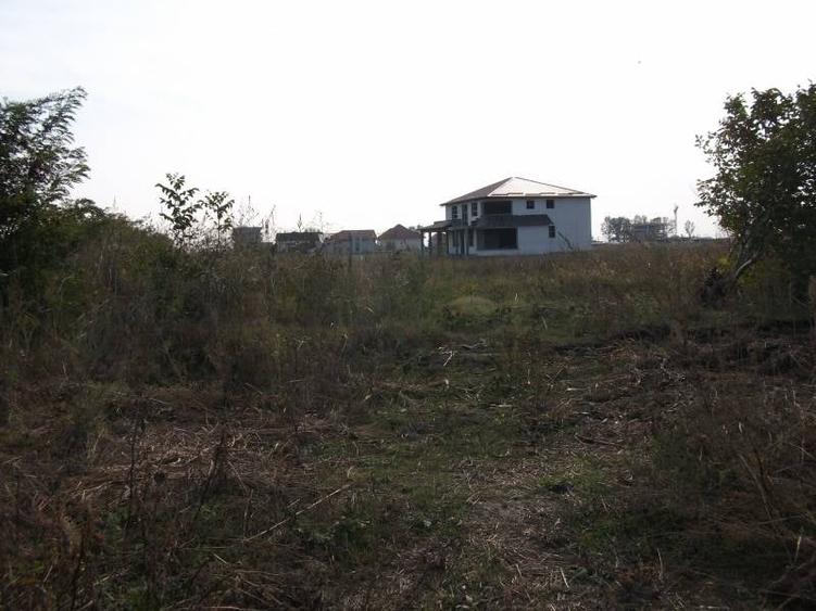 Teren Construcții intravilan de 12500 mp, în Exterior Vest