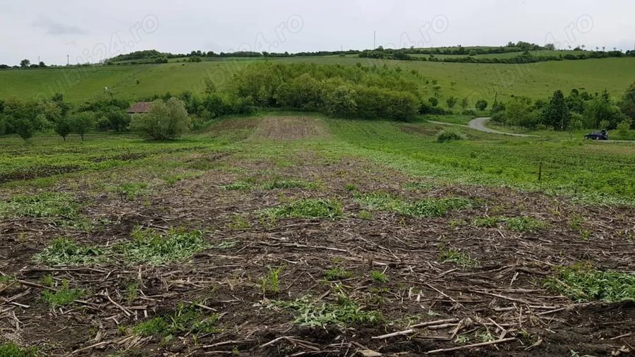 Teren de 2900 mp, în Căianu