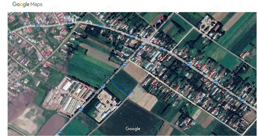 Teren de 5000 mp, în Cotorca