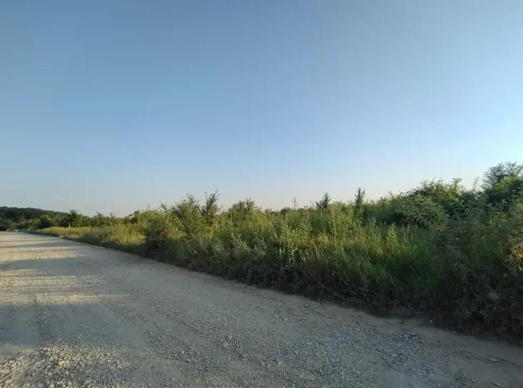 OPORTUNITATE INVESTIȚIE SECTOR 1 | Teren Intravilan 2.200 mp - 3