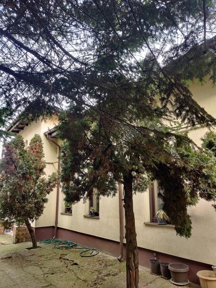 Casă individuală cu 5 camere cu Canalizare în Parcul Carol
