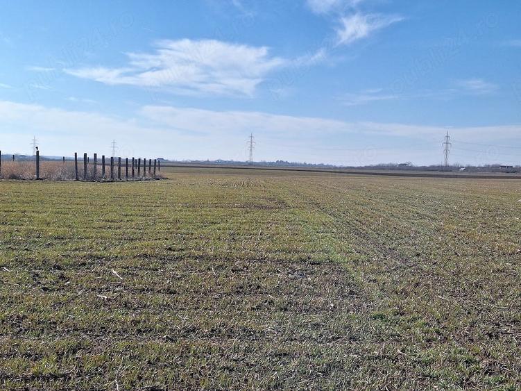 Teren de 5000 mp, în Periș