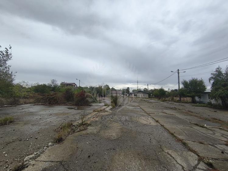 Teren Construcții intravilan de 45500 mp, în Albert