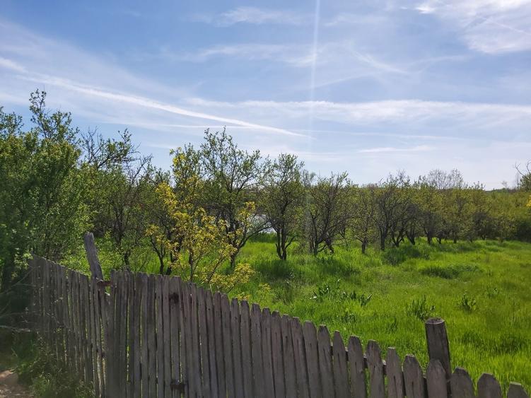 Casă cu 2 camere în Bănărești