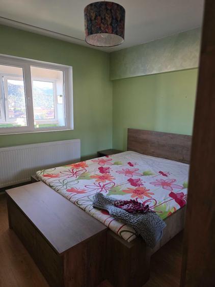Apartament cu 3 camere decomandat în Preluca Nouă