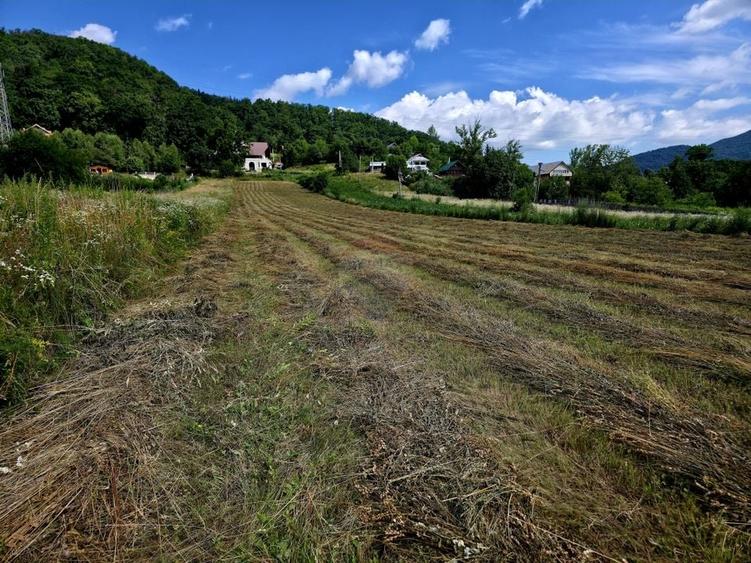 Teren Construcții intravilan de 600 mp, în Viișoara