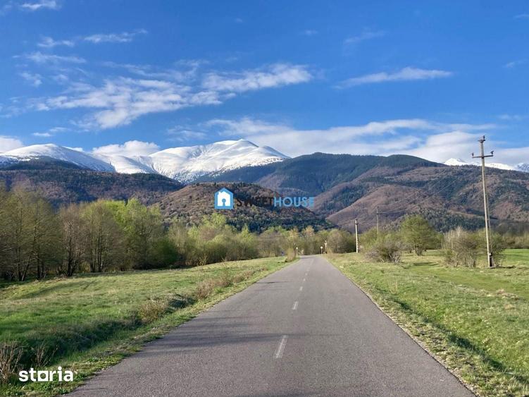 Teren de 2500 mp, în Lisa