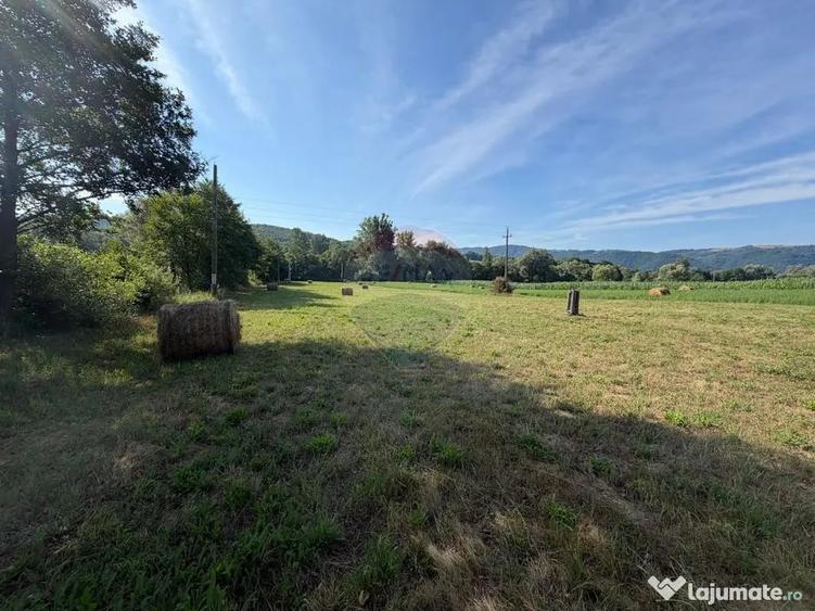 Teren în Berința