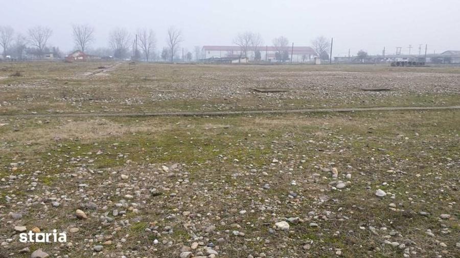 Teren de 15000 mp, în Tinca