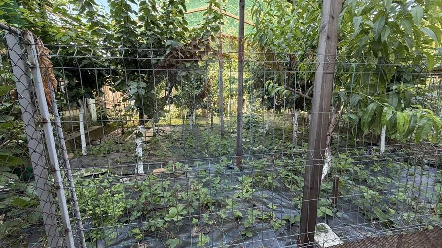 Apartament 3 camere de vanzare cu garaj, grădină in Str. Gării, Galati - 7